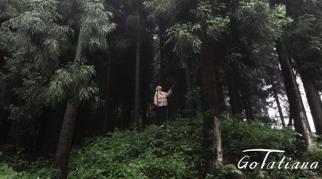 Go with Tatiana | 在贵州，探秘这片“暮光森林” Guizhou’s version of “Twilight”