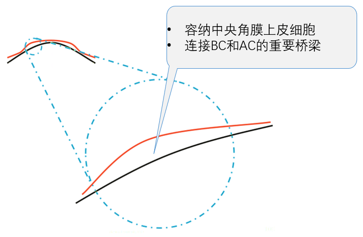 Reverse Curve 反转弧的意义