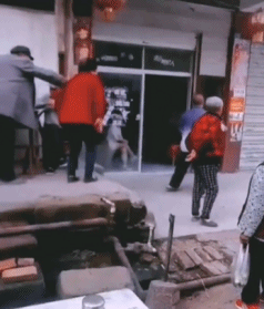 开心一刻：一哥们老婆买了只小狗，整天拿人民币给他闻，然后藏的钱都被老婆找