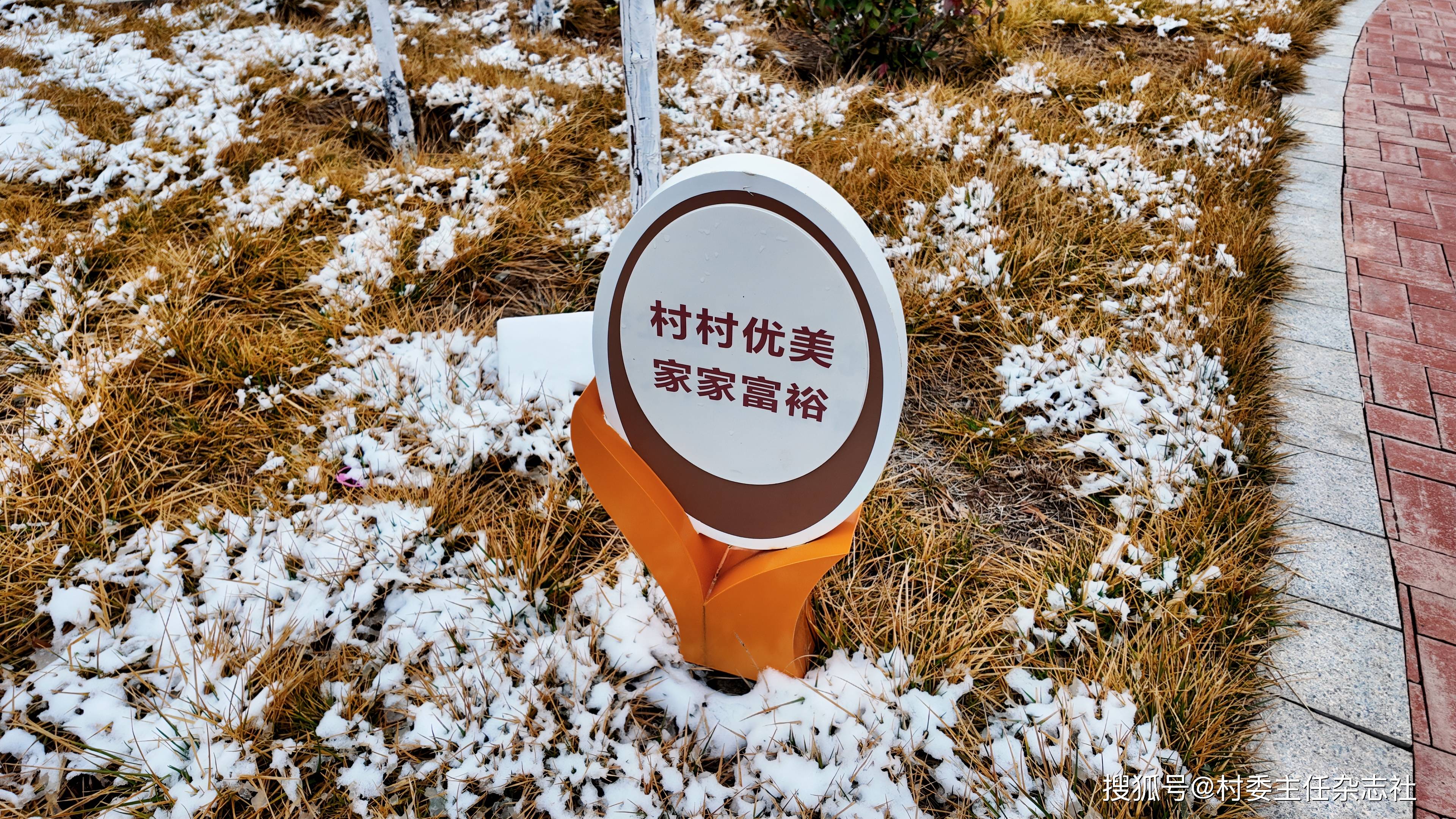山水之间，经济高地——记山西省运城市盐湖区南城街道柏口窑村
