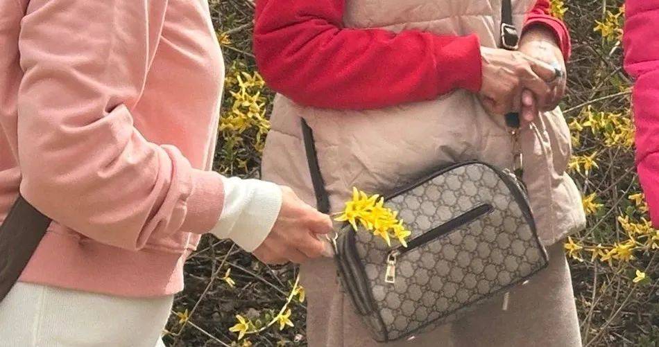 事发劳动公园！这4名女子，你们这么做不脸红吗？