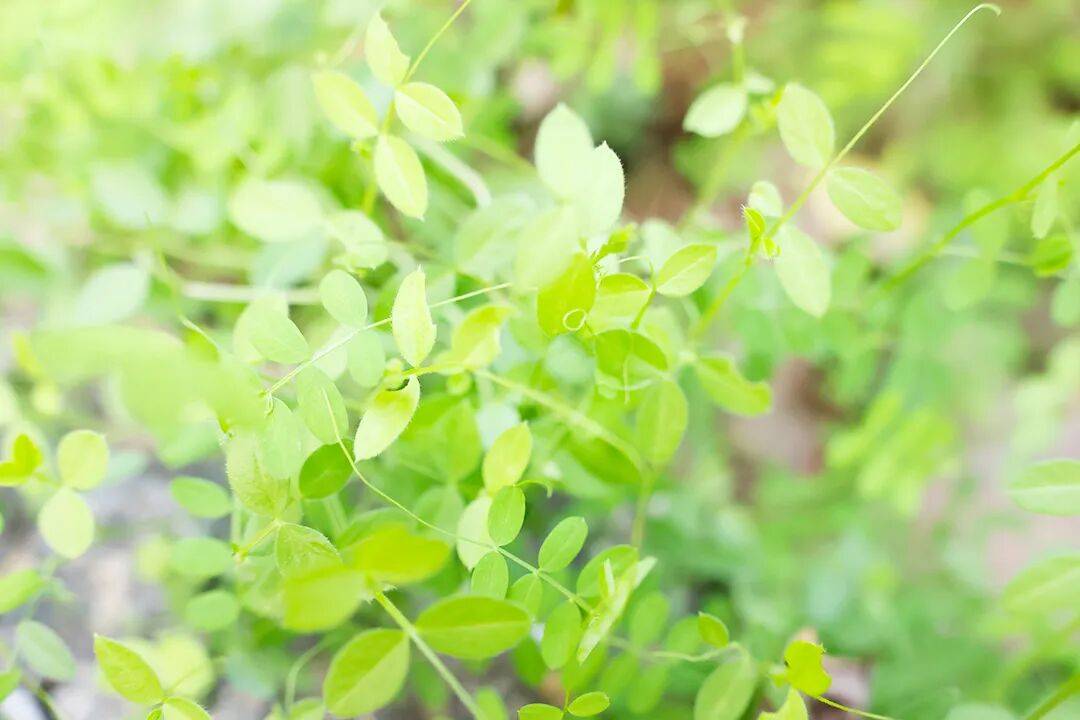 请注意,风雨来了!