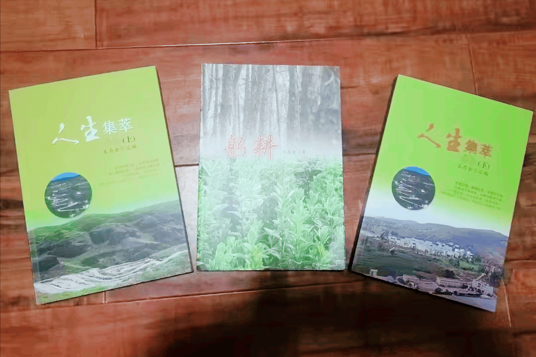 王存金丨三尺讲台染霜雪 一生耕耘化春风