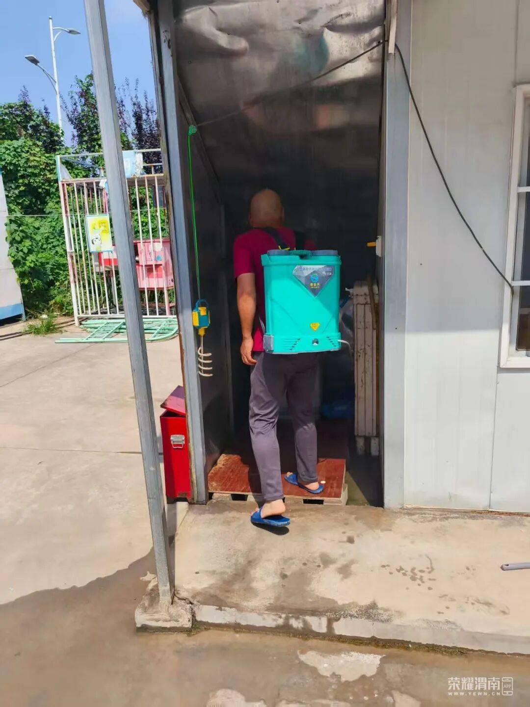 西安多区发现隐翅虫？千万别拍！毒液堪比硫酸