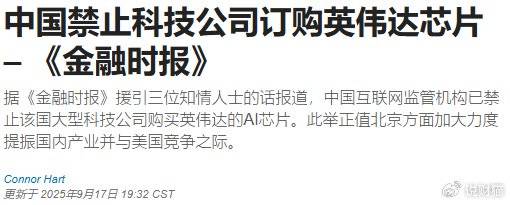 “中国英伟达”上会了，能否改写芯片战争？