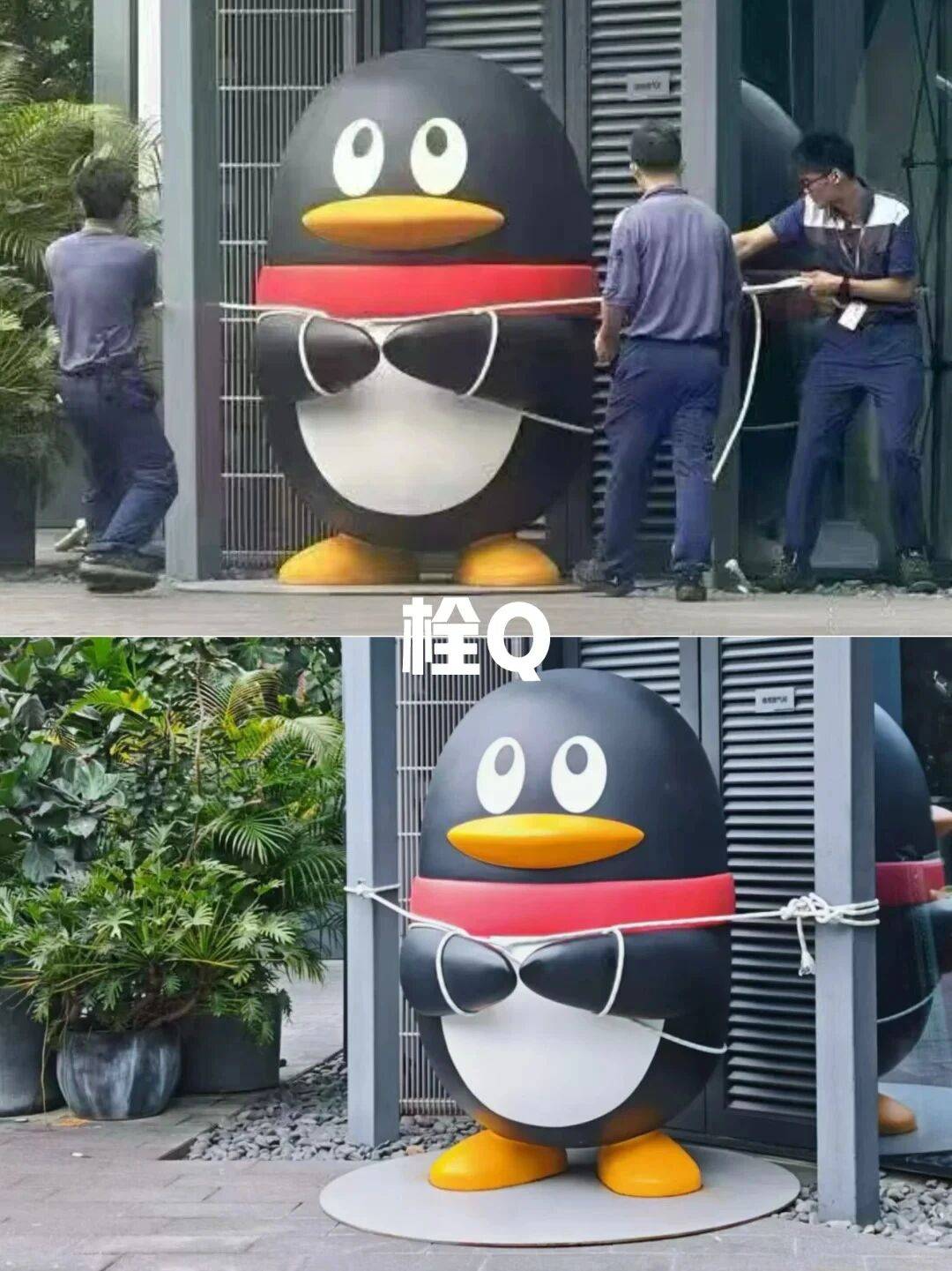 个头大过广东!谨防风王“桦加沙”,深圳人太硬核!这些务必码住 个头大过广东!谨防风王“桦加沙”,深圳人太硬核!这些务必码住