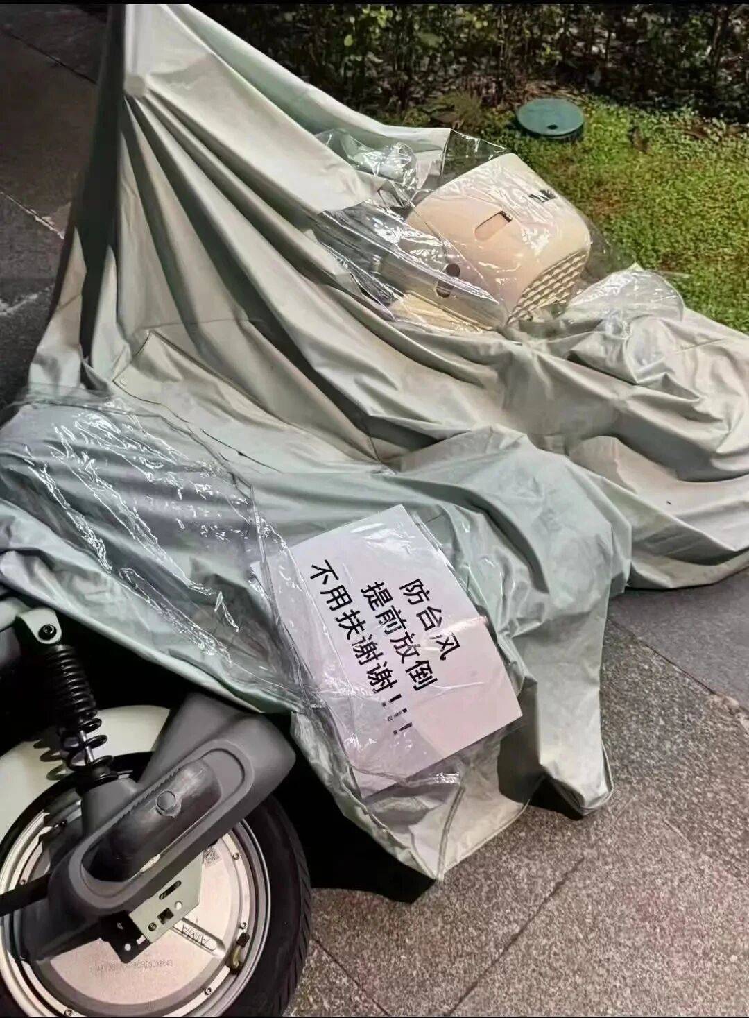 个头大过广东!谨防风王“桦加沙”,深圳人太硬核!这些务必码住