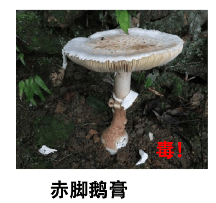 深圳一对夫妻深夜双双入院！一周内12人中招！近期很常见，千万别碰