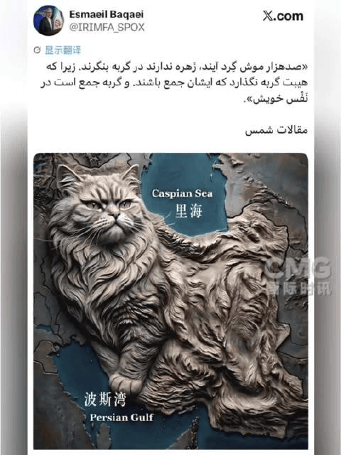 伊朗外交部发言人发帖：十万鼠辈不敢向猫投去一瞥