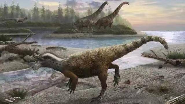 时速仅1公里！张家口宣化发现全球罕见慢速恐龙行迹