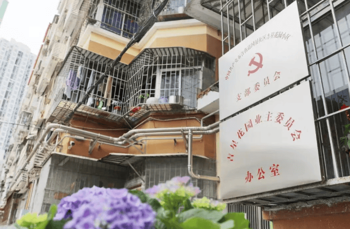 物业费6毛收不上，涨价后几乎收满！深圳一30多年老小区，改变如何发生？